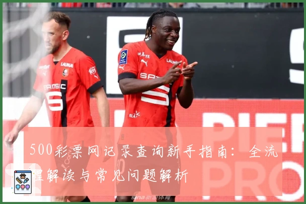 500彩票网记录查询新手指南：全流程解读与常见问题解析