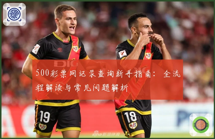 500彩票网记录查询新手指南:全流程解读与常见问题解析